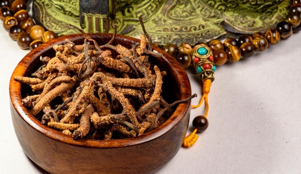 Yarsagumba
